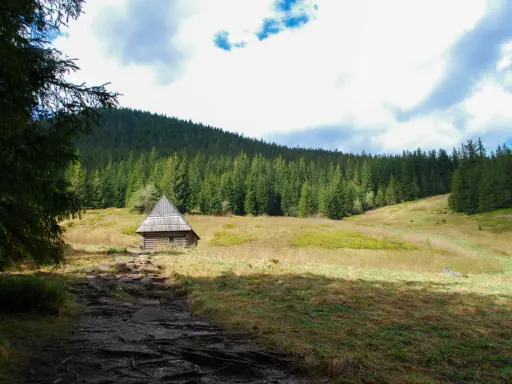 Kamienista ścieżka prowadzi do drewnianej chatki w Dolinie Olczyskiej, otoczonej gęstym lasem świerkowym i łagodnymi wzgórzami.