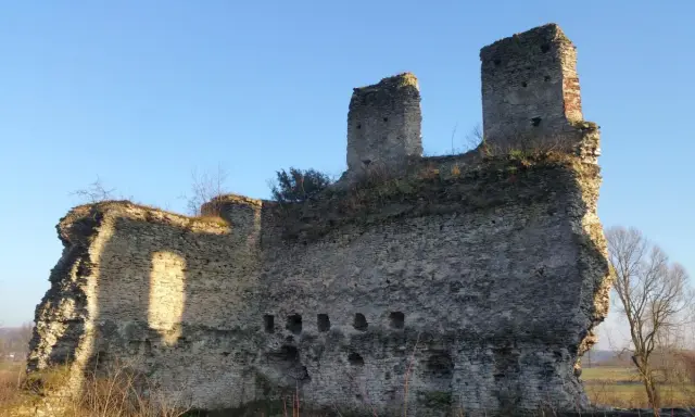 Kamienne ruiny zamku świętokrzyskie, zarośnięte trawą i krzewami, stoją dumnie pod błękitnym niebem.