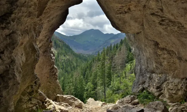Widok z jaskini na Tatry. Pawlikowski stworzył tu "okno" na dolinę pełną drzew.