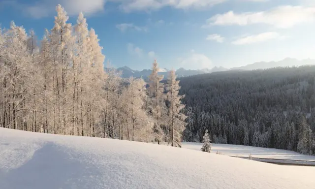 Zimowy krajobraz Bieszczad. Śnieg pokrywa wzgórza i lasy, a drzewa są oszronione. Słońce przebija się przez chmury, tworząc magiczną atmosferę.