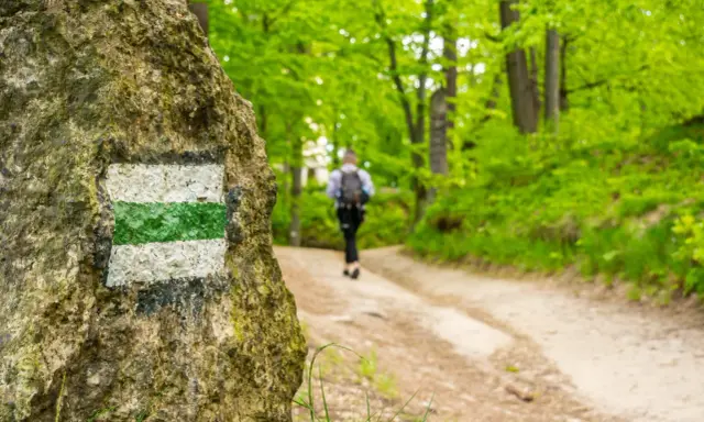 Szlak turystyczny w lesie, prowadzący do Jeleniej Góry. Widać kamień z oznaczeniem szlaku i idącą ścieżką osobę. Jakie góry czekają na odkrycie?