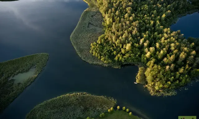 Malownicze podlasie jeziora z lotu ptaka. Bujna zieleń lasów i trzcin otacza spokojne wody, po których pływa żaglówka i mała łódka.