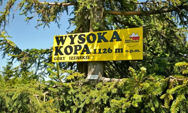 Żółta tablica na drzewie informuje: Wysoka Kopa, najwyższy szczyt Gór Izerskich, 1126 m n.p.m.