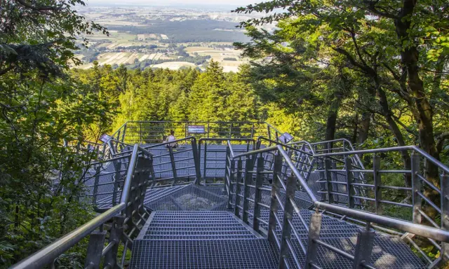 Metalowe schody prowadzą do punktu widokowego z panoramą okolicy. W oddali widać lasy i pola, a w tle majaczy klasztor na Świętym Krzyżu.