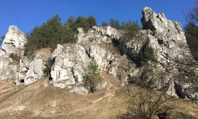 Skały wapienne i sosny w Dolinie Kobylańskiej. Ścieżka wije się po zboczu, a w oddali widać turystów.