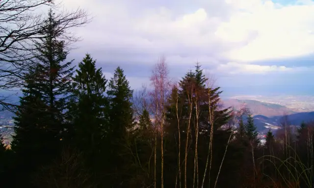 Widok na Beskidy z lasem w pierwszym planie i chmurami na niebie.