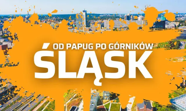 Wycieczka jednodniowa Śląskie: od papug po górników. Widok na nowoczesne miasto z drapaczami chmur i zielonymi dachami.
