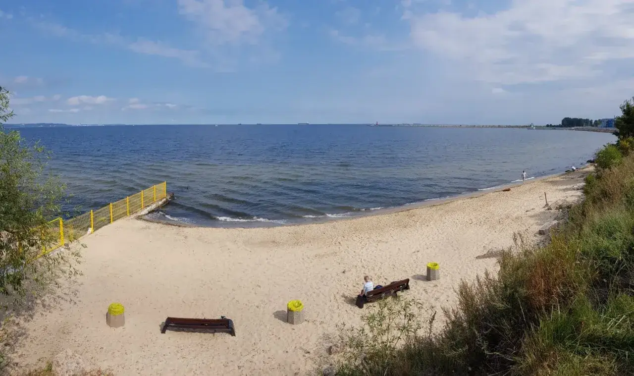 Plaża dla psów z żółtym ogrodzeniem i ławkami. W oddali widać morze i statki.