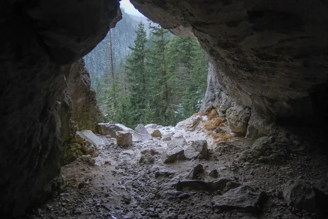 Widok z jaskini na zimowy las. Kamieniste dno i skalne ściany tworzą naturalne okno pawlikowskiego na ośnieżone drzewa.