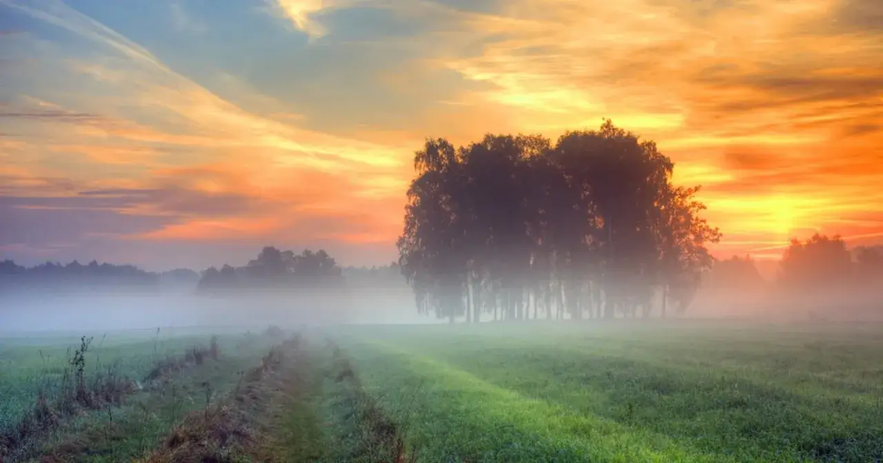 Mglisty poranek, idealne miejsce, gdzie na weekend listopadowy. Wschód słońca nad polem i lasem.