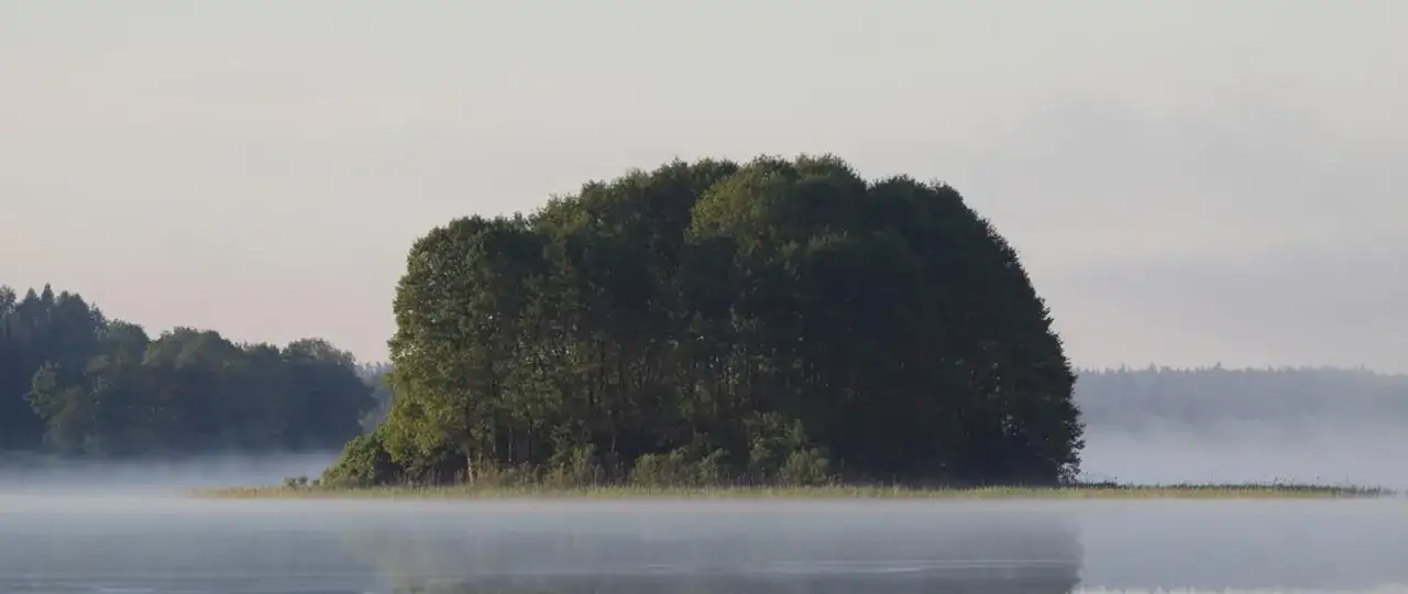 Mglista wyspa porośnięta drzewami na jeziorze, typowa dla krajobrazów parków krajobrazowych Warmii i Mazur.