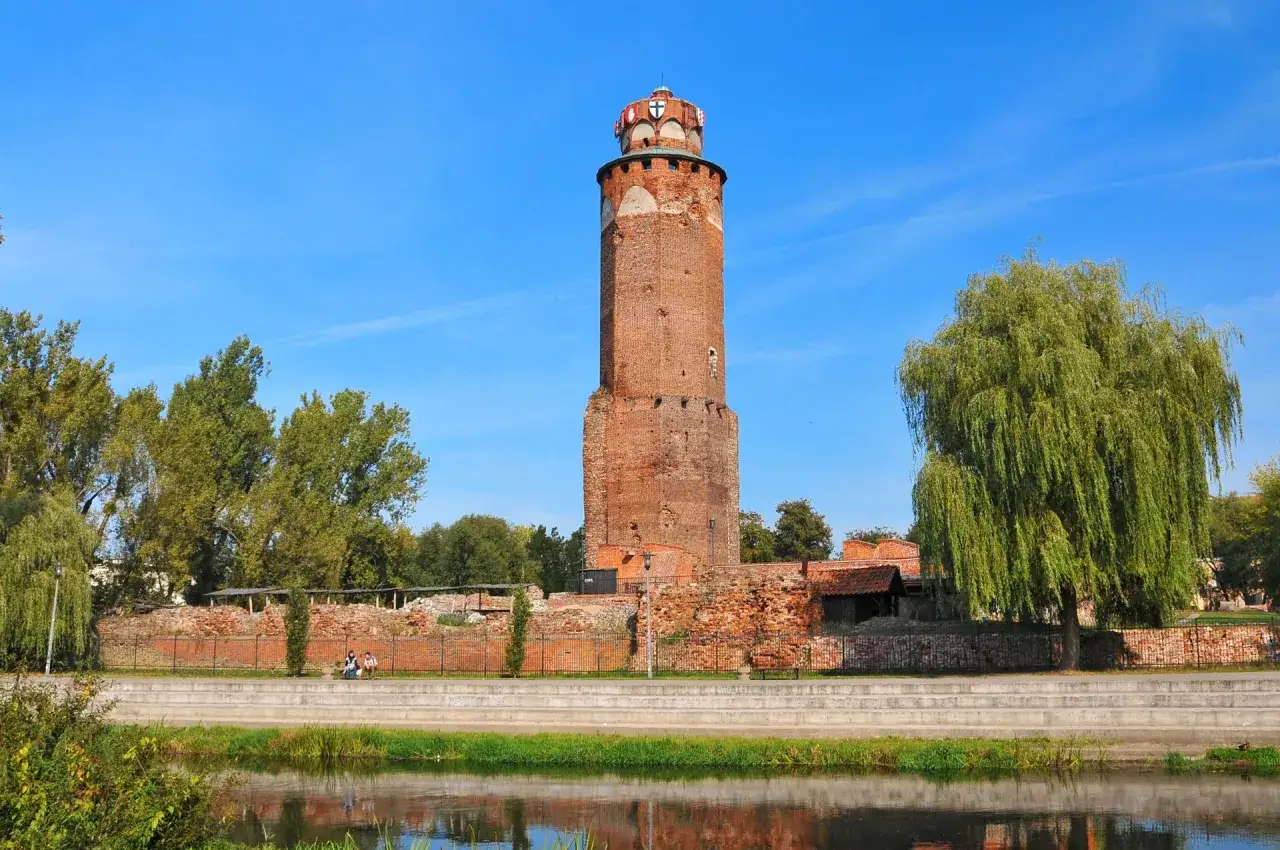Wieża zamku krzyżackiego w Brodnicy, otoczona ruinami i zielenią, góruje nad spokojną rzeką.