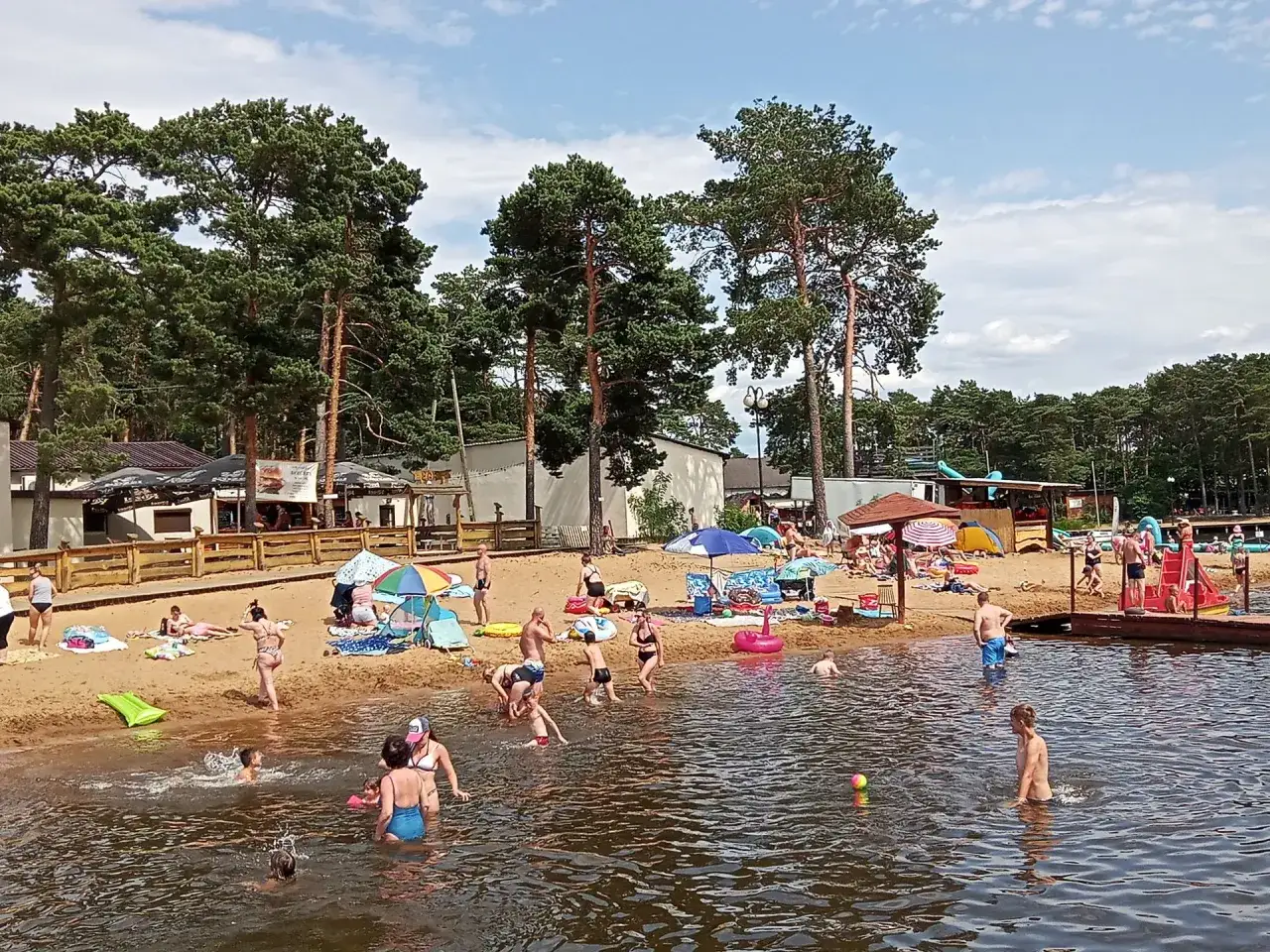 Ludzie kąpią się i opalają na piaszczystej plaży otoczonej sosnami. To popularne miejsce wypoczynku nad zalewami świętokrzyskimi.