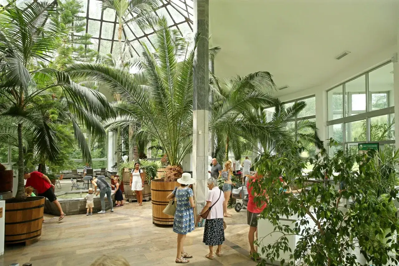 Tropikalna oranżeria pełna palm, idealne miejsce na weekendowe atrakcje w Nałęczowie.