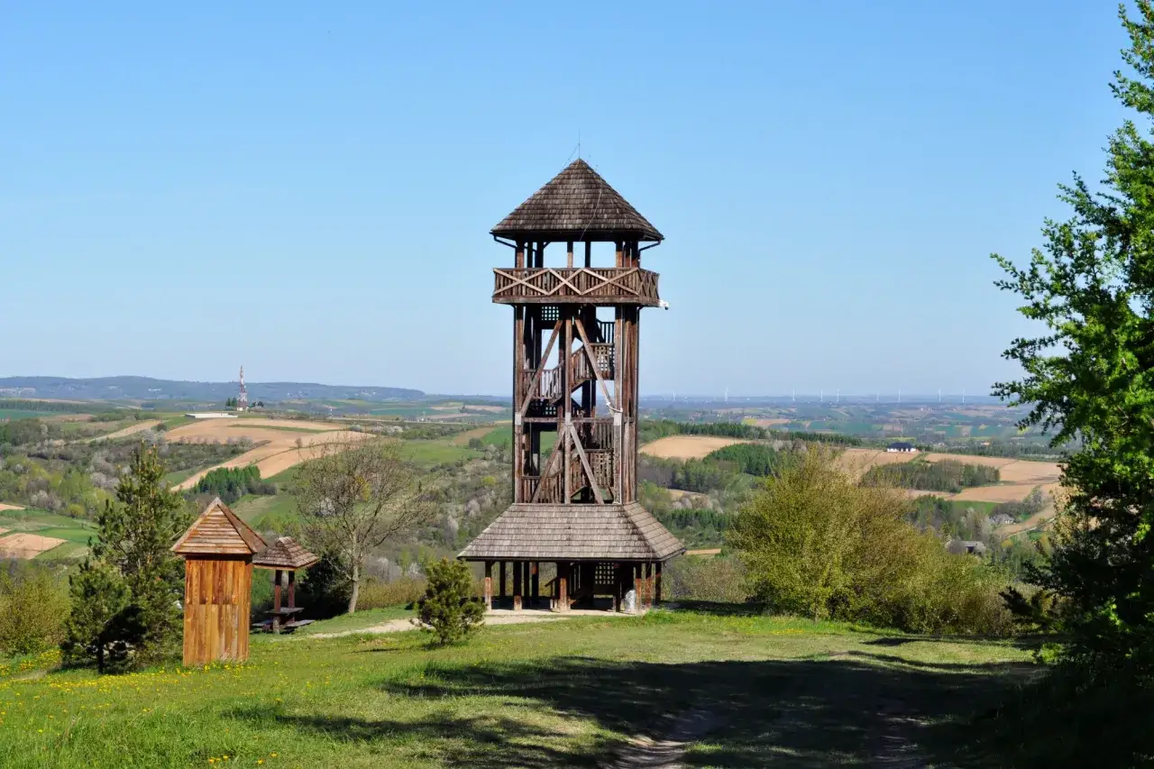 Drewniana wieża widokowa w Pruchniku góruje nad pagórkowatym krajobrazem.