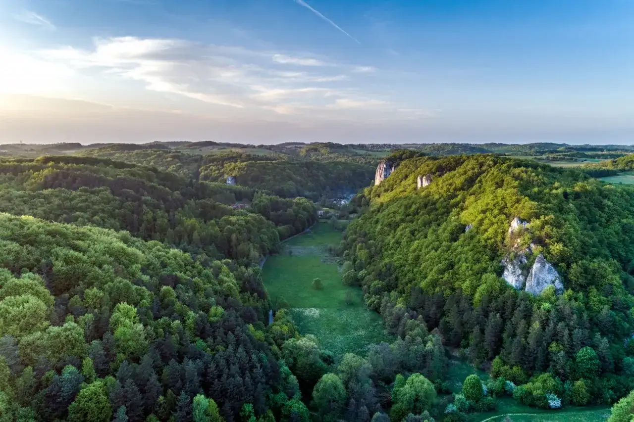 Malownicza Dolina Będkowska z wapiennymi skałkami i bujną zielenią. Odkryj jej atrakcje!