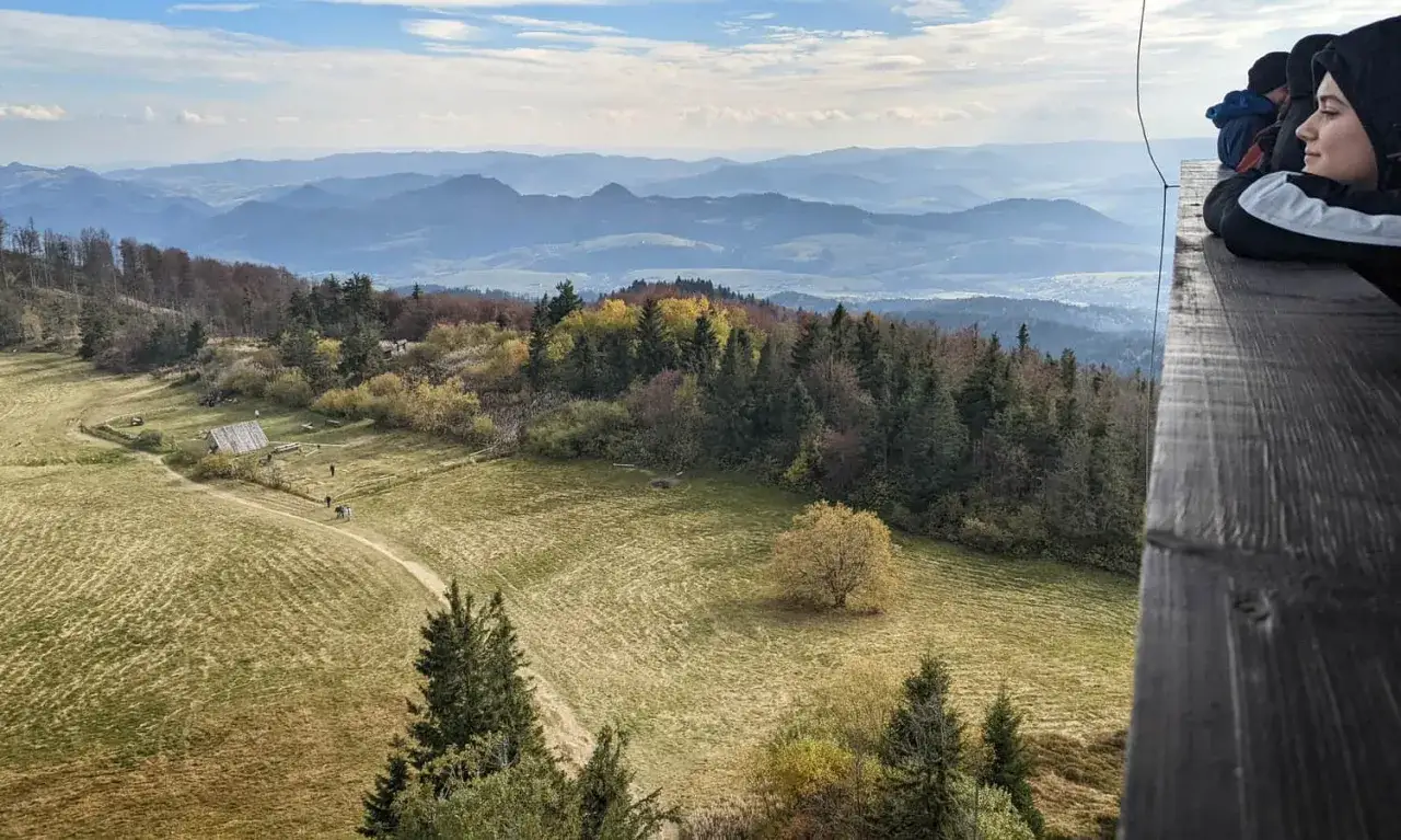 Widok na Beskid Sądecki z wieży widokowej. Jesienne kolory drzew, polana i góry w oddali.