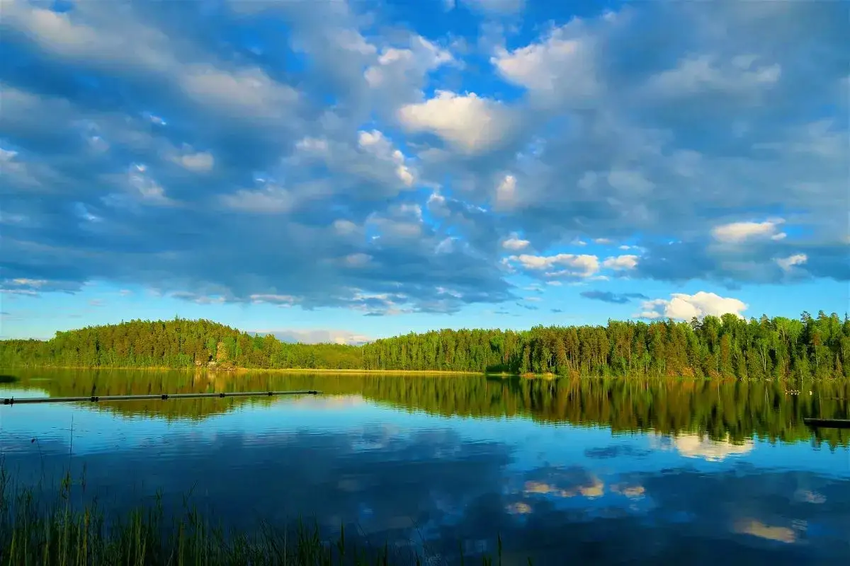 Spokojne jezioro odbija las i błękitne niebo z chmurami. Urokliwy krajobraz Warmia i Mazury.