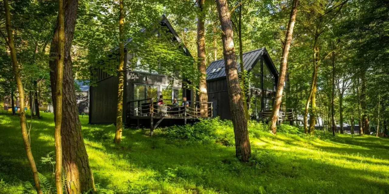 Nowoczesny hotel w lesie, z drewnianymi domkami i tarasem, otoczony zielenią.