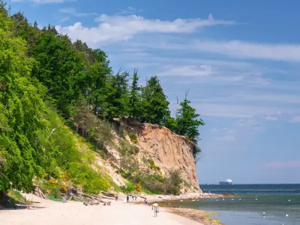 Piękny dzień nad morzem, klif porośnięty drzewami, piaszczysta plaża z spacerującymi ludźmi i statkiem na horyzoncie. Wspaniałe atrakcje nad morzem!